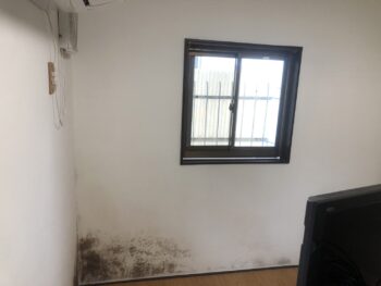 川崎市多摩区N様邸 内装壁塗り替え工事の写真(神奈川県川崎市)